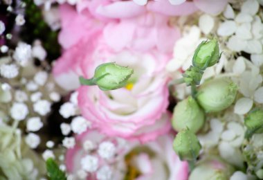 Taze pembe gül buketi seçici bir odak ile yakın çekim. Çiçek buketinin arka planını kapat. Sığ DOF