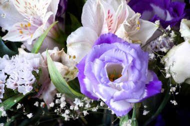 Taze mor gül buketi seçici bir odak ile yakın çekim. Çiçek buketinin arka planını kapat. Sığ DOF