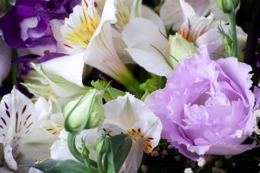 Taze pembe gül buketi seçici bir odak ile yakın çekim. Çiçek buketinin arka planını kapat. Sığ DOF