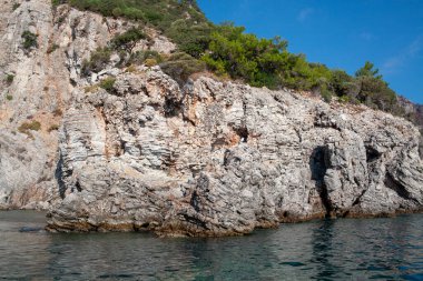 Seagull on rock. Mediterranean rocky shores with green trees and landscape. View from sea. Rock reflection in blue water sea