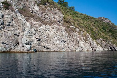 Yeşil ağaçları ve manzarası olan Akdeniz kayalık kıyıları. Deniz manzaralı. Mavi sulardaki kaya yansıması