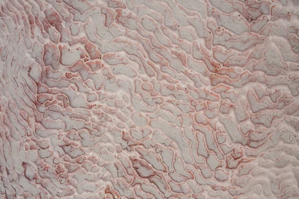 トルコのパムッカレカルシウムトラバーチンの石灰岩の床 非対称パターンのクローズアップ 白い綿の城のテクスチャ 赤カルシウムの石のテクスチャ 石灰岩 — ストック写真