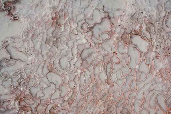 Türkiye 'de Pamukkale kalsiyum travertininde kireç taşı tabanı, asimetrik kalıp yakın plan. Beyaz pamuklu kale dokusu. Kırmızı Kalsiyum Taşı desenli. Kireçtaşı.