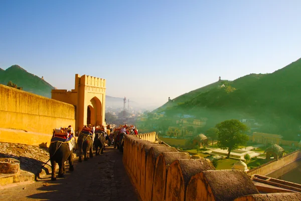 Panorama dari Amer dari Amber Fort Stok Lukisan  