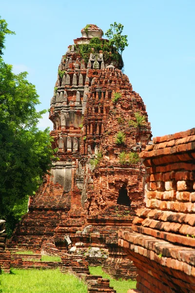 Ruinen von Ayutthaya — Stockfoto