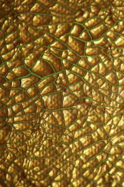 Çadır bezi kurumuş. Arka planı kapatın. Yüksek kalite büyük boya.