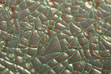 Çadır bezi kurumuş. Arka planı kapatın. Yüksek kalite büyük boya.