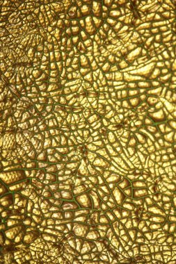 Tuvaldeki renkli renkler arkaplanı kapatır yüksek kaliteli büyük resim yazdırır