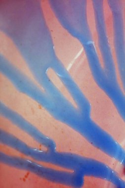 Tuvalet mavisi sıvısı temizleniyor. Arka planı kapatın. Yüksek kalite büyük baskı.