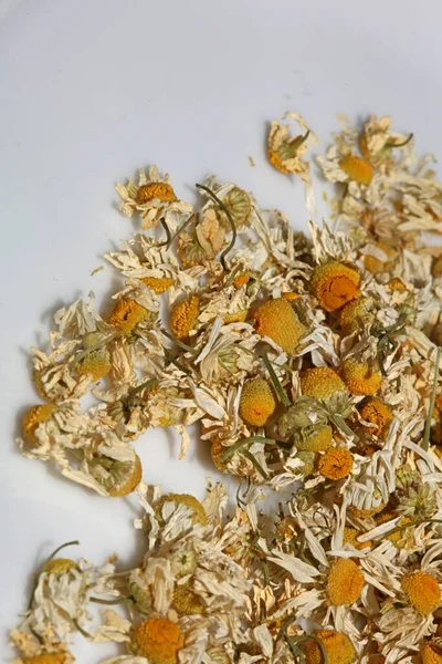 Camomile Buds Flowers Ready Tea Close Background Matricaria Chamomilla Family — Stock Photo, Image