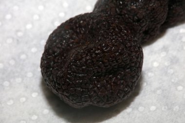 Kara vahşi yaz trüf mantarları aile veremlerini kapatır botanik modern kalite büyük boy arka plan baskı mutfak dekorasyonu