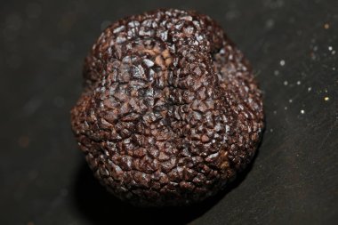 Kara vahşi yaz trüf mantarları aile veremlerini kapatır botanik modern kalite büyük boy arka plan baskı mutfak dekorasyonu