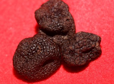 Kara vahşi yaz trüf mantarları aile veremlerini kapatır botanik modern kalite büyük boy arka plan baskı mutfak dekorasyonu