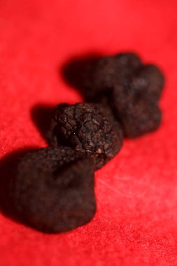 Kara vahşi yaz trüf mantarları aile veremlerini kapatır botanik modern kalite büyük boy arka plan baskı mutfak dekorasyonu