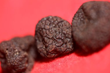 Kara vahşi yaz trüf mantarları aile veremlerini kapatır botanik modern kalite büyük boy arka plan baskı mutfak dekorasyonu