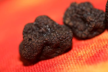 Kara vahşi yaz trüf mantarları aile veremlerini kapatır botanik modern kalite büyük boy arka plan baskı mutfak dekorasyonu