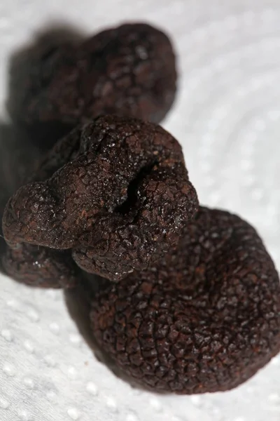 Kara vahşi yaz trüf mantarları aile veremlerini kapatır botanik modern kalite büyük boy arka plan baskı mutfak dekorasyonu