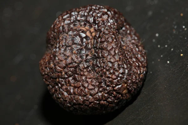 Kara vahşi yaz trüf mantarları aile veremlerini kapatır botanik modern kalite büyük boy arka plan baskı mutfak dekorasyonu