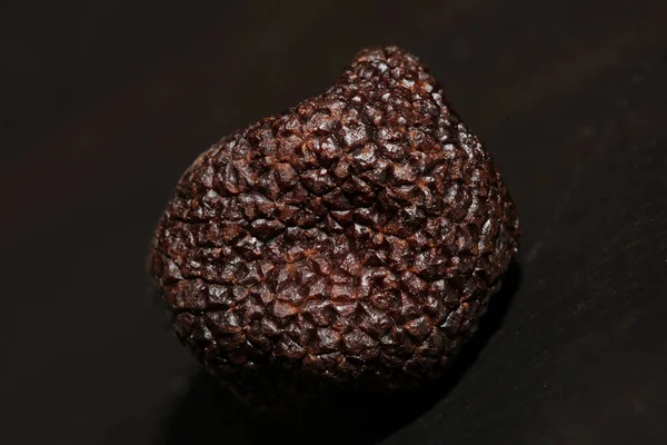 Kara vahşi yaz trüf mantarları aile veremlerini kapatır botanik modern kalite büyük boy arka plan baskı mutfak dekorasyonu