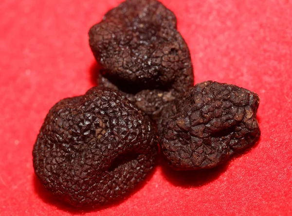 Kara vahşi yaz trüf mantarları aile veremlerini kapatır botanik modern kalite büyük boy arka plan baskı mutfak dekorasyonu