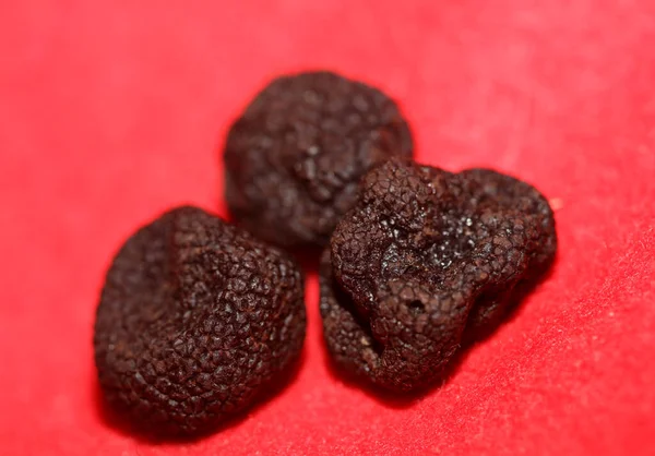 Kara vahşi yaz trüf mantarları aile veremlerini kapatır botanik modern kalite büyük boy arka plan baskı mutfak dekorasyonu