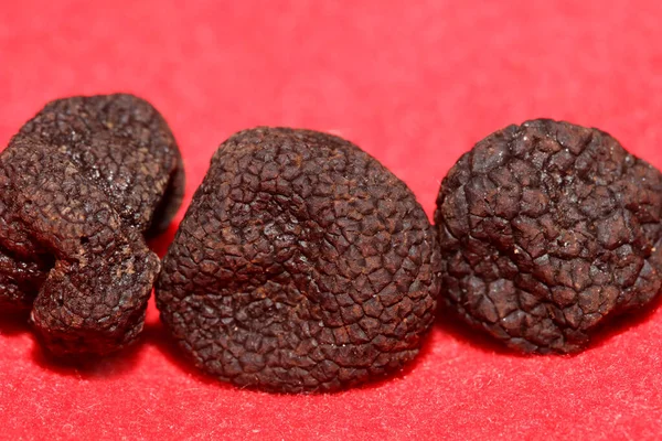 Kara vahşi yaz trüf mantarları aile veremlerini kapatır botanik modern kalite büyük boy arka plan baskı mutfak dekorasyonu