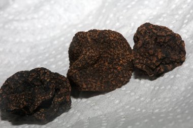 Kara vahşi yaz mantarları aile veremlerini kapatır botanik modern kalite büyük boy arka plan baskısı ev dekorasyonu