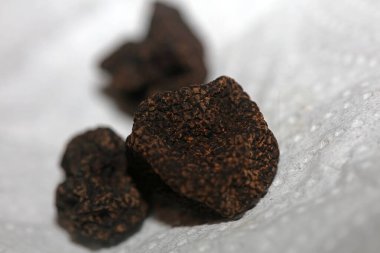 Kara vahşi yaz mantarları aile veremlerini kapatır botanik modern kalite büyük boy arka plan baskısı ev dekorasyonu