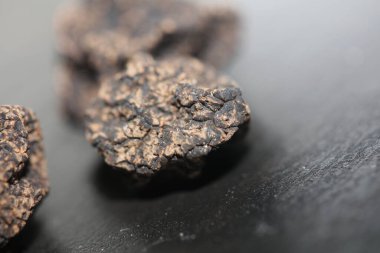 Kara vahşi yaz mantarları aile veremlerini kapatır botanik modern kalite büyük boy arka plan baskısı ev dekorasyonu