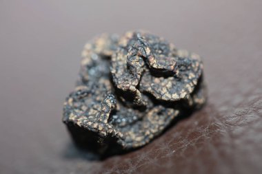 Kara vahşi yaz mantarları aile veremlerini kapatır botanik modern kalite büyük boy arka plan baskısı ev dekorasyonu