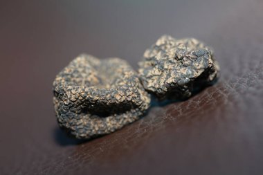 Kara vahşi yaz mantarları aile veremlerini kapatır botanik modern kalite büyük boy arka plan baskısı ev dekorasyonu