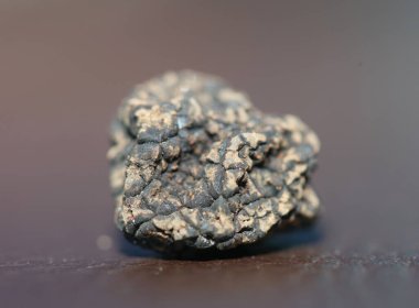 Kara vahşi yaz mantarları aile veremlerini kapatır botanik modern kalite büyük boy arka plan baskısı ev dekorasyonu