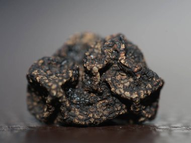 Kara vahşi yaz mantarları aile veremlerini kapatır botanik modern kalite büyük boy arka plan baskısı ev dekorasyonu