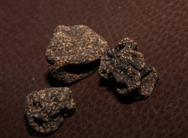 Kara vahşi yaz mantarları aile veremlerini kapatır botanik modern kalite büyük boy arka plan baskısı ev dekorasyonu