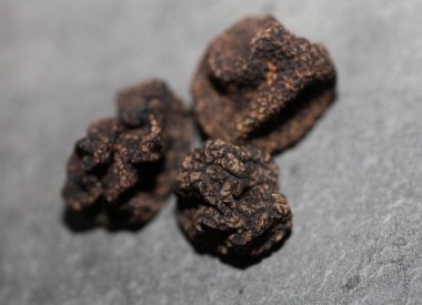 Kara vahşi yaz mantarları aile veremlerini kapatır botanik modern kalite büyük boy arka plan baskısı ev dekorasyonu