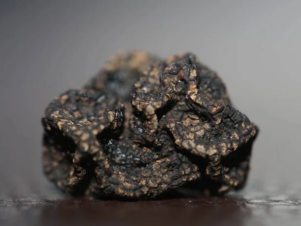 Kara vahşi yaz mantarları aile veremlerini kapatır botanik modern kalite büyük boy arka plan baskısı ev dekorasyonu