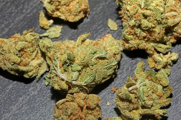 Marihuana Buds Close Black Background Pure Medical Cbd Super Lemon — Fotografia de Stock
