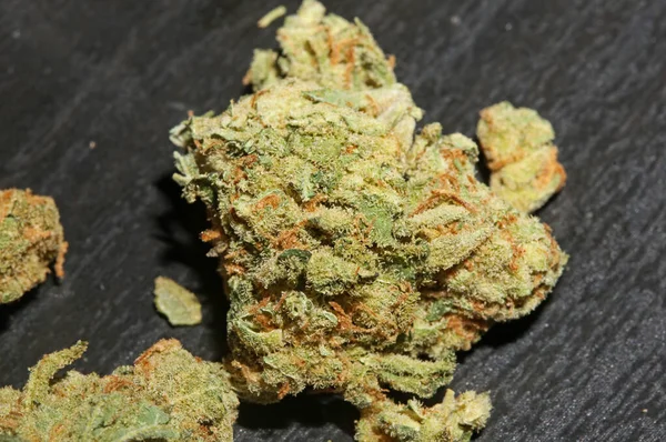 Marihuana Brotes Cerca Fondo Negro Cbd Medicinal Puro Super Limón —  Fotos de Stock
