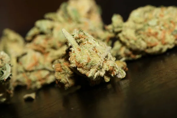 Marihuana Brotes Cerca Fondo Negro Cbd Medicinal Puro Super Limón —  Fotos de Stock