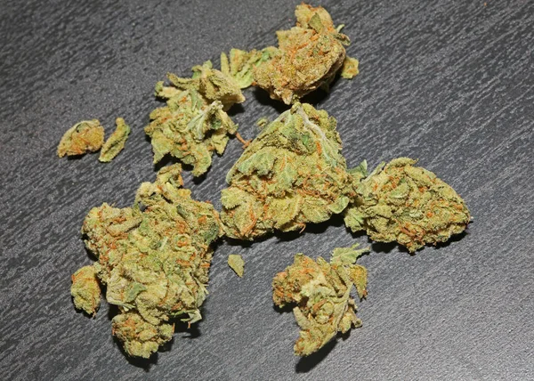 Marihuana Buds Close Black Background Pure Medical Cbd Super Lemon — Fotografia de Stock