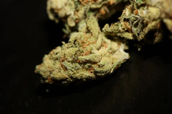 Marihuana Buds Close Black Background Pure Medical Cbd Super Lemon — Fotografia de Stock