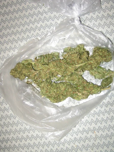 Cannabis Medicinsk Marihuana Creta Grekisk Retro Bakgrund Matala 2006 Vintage — Stockfoto