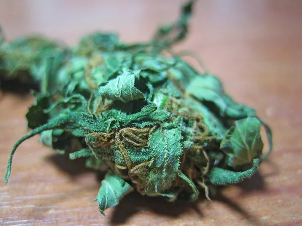 克里特岛嬉皮士超级柠檬薄雾复古非法背景指纹中的大麻 — 图库照片