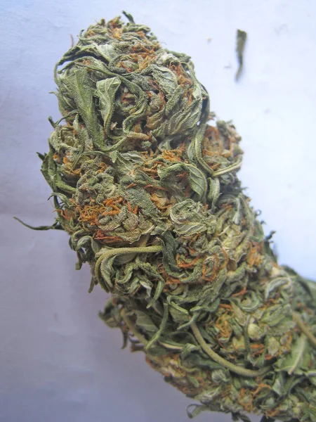 Cannabis Retro Creta Isla Hippie Super Limón Neblina Vintage Fondo —  Fotos de Stock