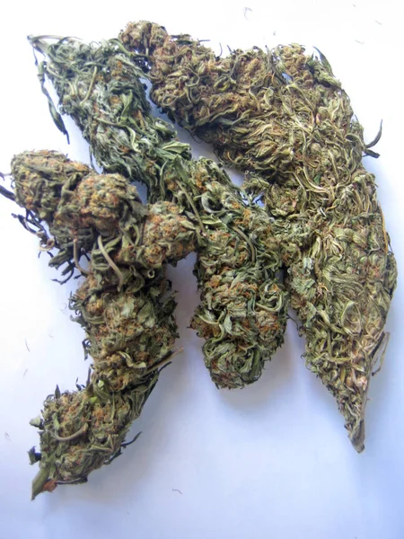 Cannabis Retro Creta Island Hippie Super Lemon Haze Vintage Illegal — Stock Photo, Image