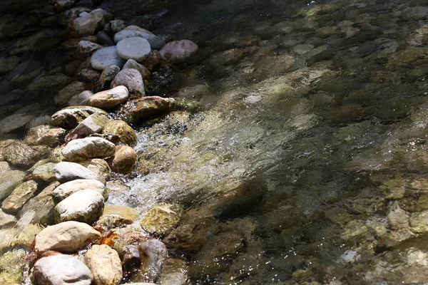 Yunanistan Keşfeden Acherontas Nehri Yaz Tatillerinde Yunanistan Doğasında Yüksek Kalite — Stok fotoğraf