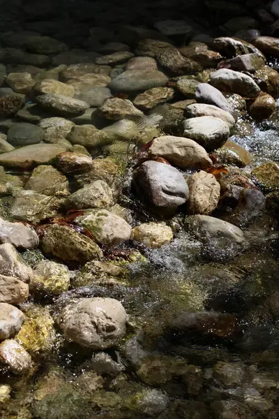 Acherontas Nehri Yunanistan Keşfediyor Yaz Tatili Nanılmaz Yunan Doğası Manzarası — Stok fotoğraf