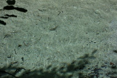 Acherontas Nehri Yunanistan 'ı keşfediyor. Yaz tatili. İnanılmaz Yunan doğası manzarası arka planında yüksek kalite büyük baskı var.