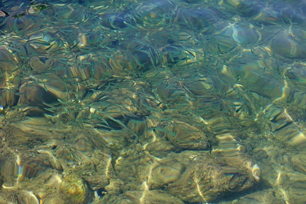 Yunanistan 'ı gezen güzel Parga plajı yaz tatillerinde arka planda yüksek kaliteli büyük boy baskılar
