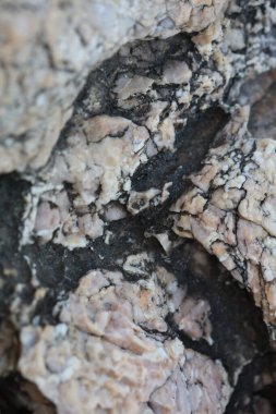 Deniz taşları modern arkaplanı kapatır yüksek kaliteli büyük boy baskılar